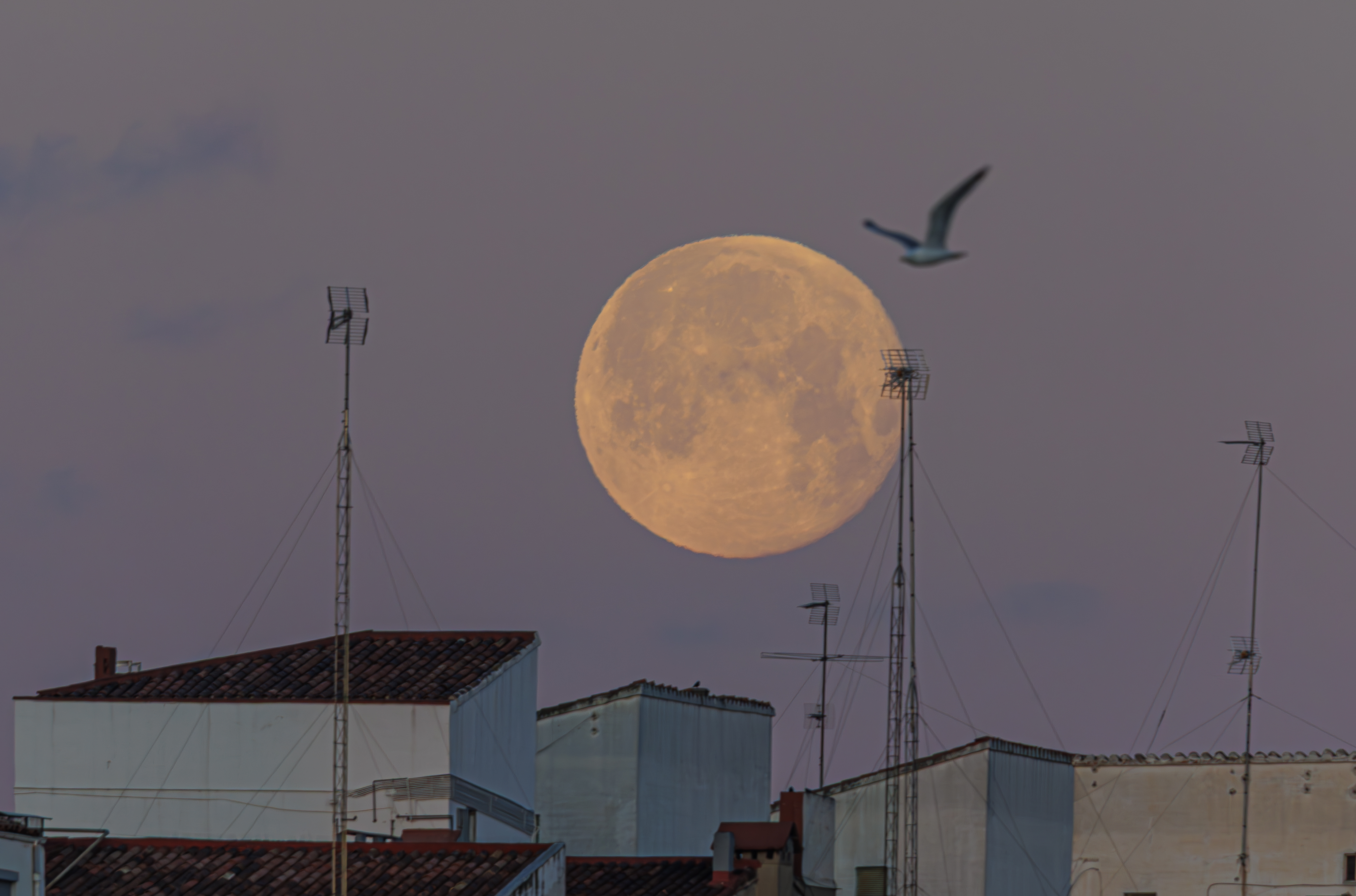 Luna llena de diciembre 2025: ¿Cuándo es y a qué hora será visible en Guatemala?