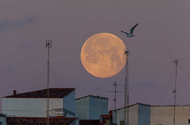 Luna llena de diciembre 2