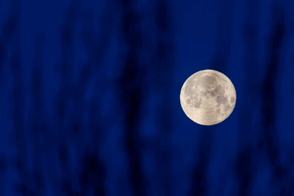 ZARAGOZA (ESPAÑA), 15/03/2025.- La luna llena en la madrugada de este sábado en Zaragoza, donde esta madrugada se ha podido observar ver el primero de los eclipses de Luna este año, que en este caso será total y visible en gran parte del mundo. EFE/ Javier Belver