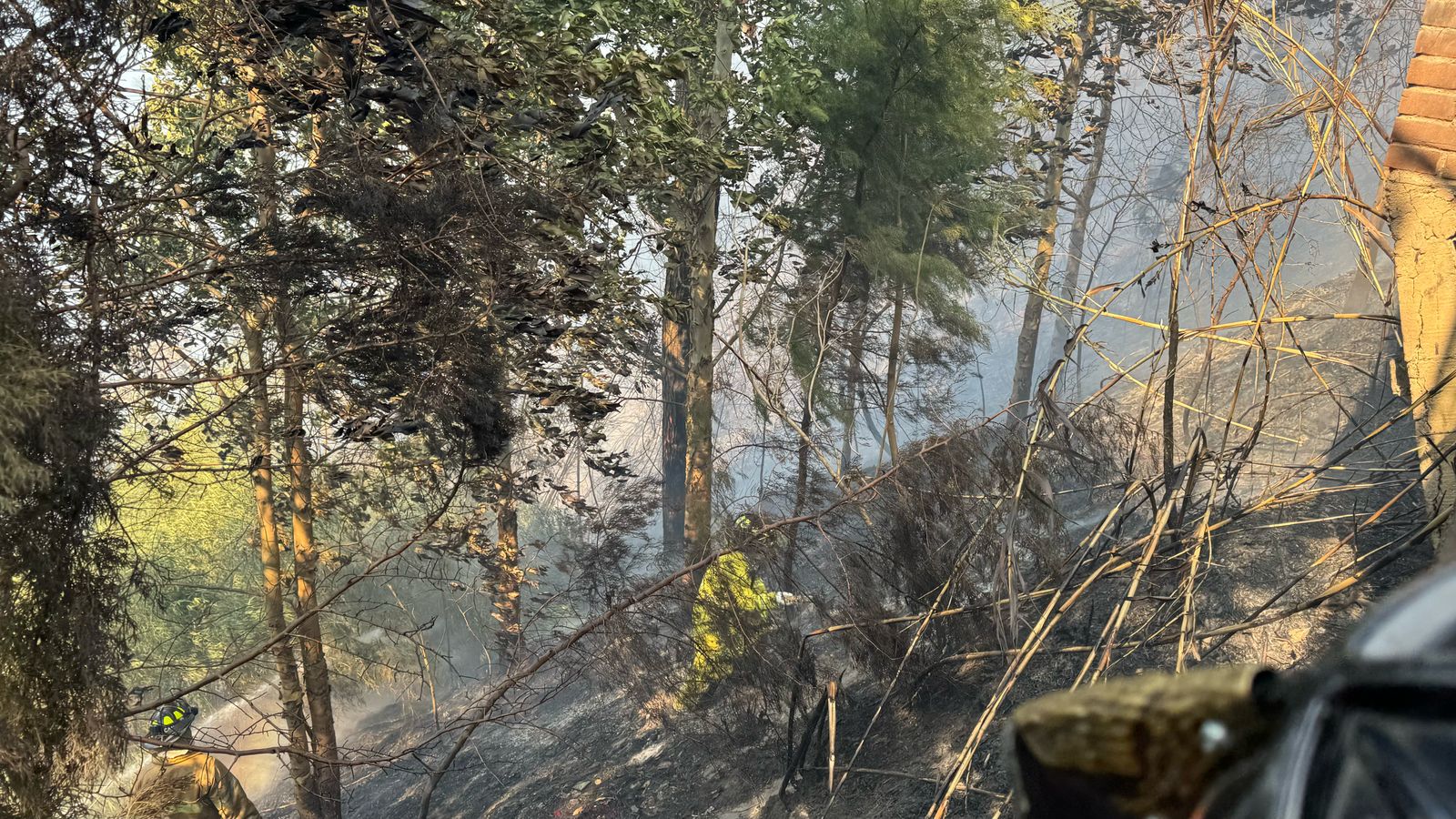 Bomberos controlan incendio forestal cerca de la colonia Las Charcas
