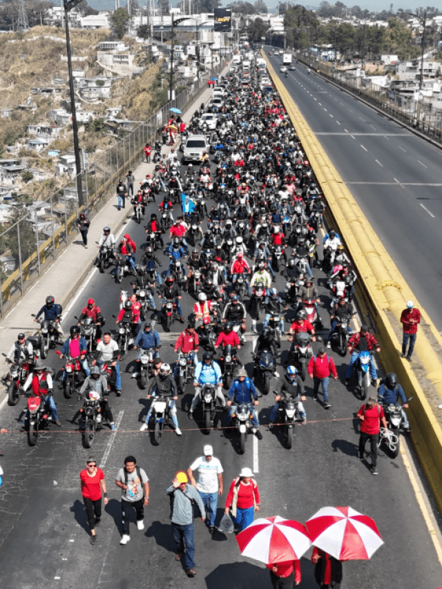 MANIFESTACIÓN EN EL INCIENSO