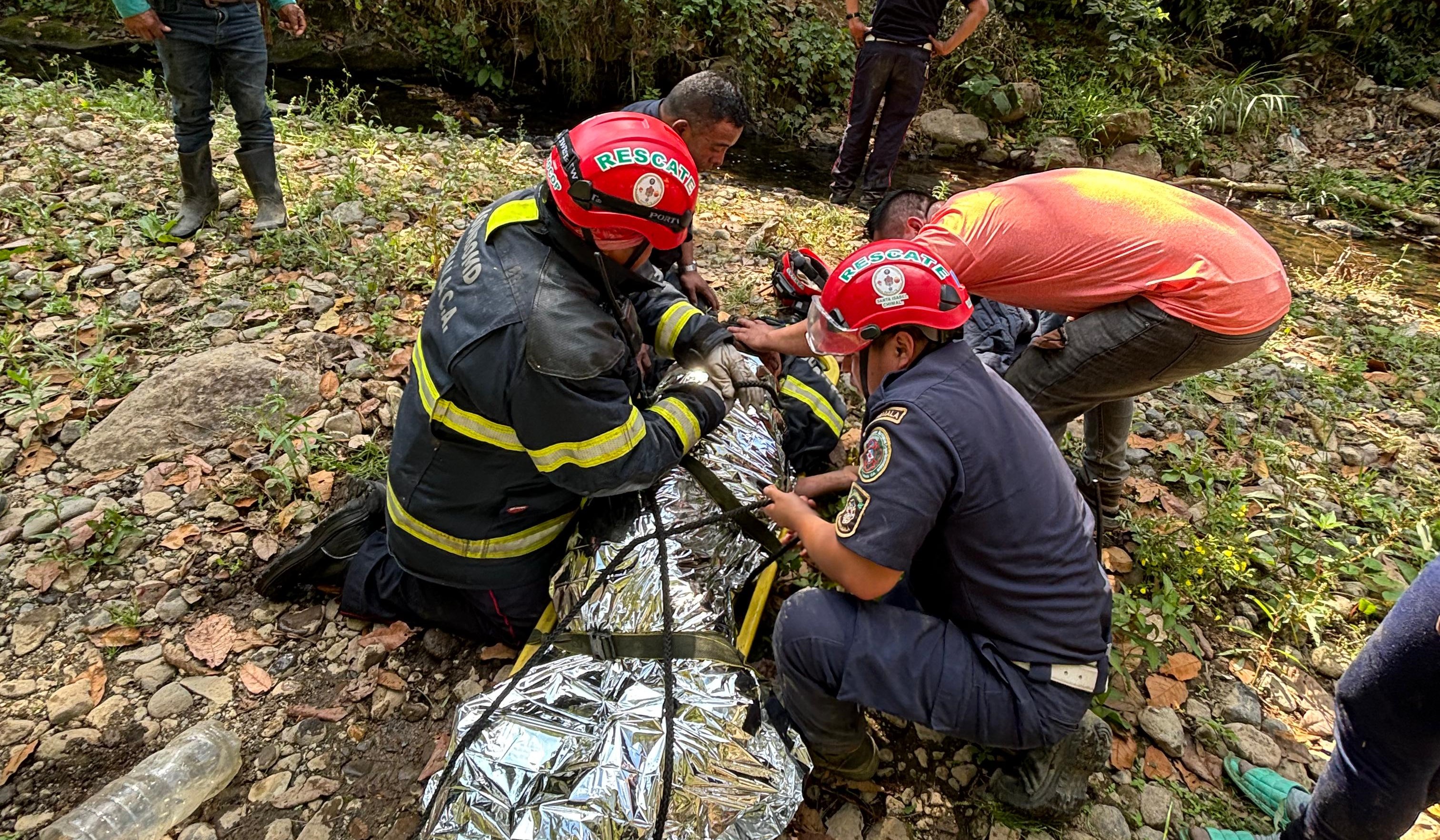 Rescatan a hombre atacado por abejas; dos bomberos también son hospitalizados por picaduras