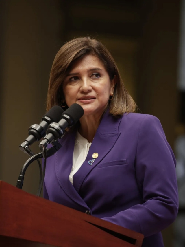 Vicepresidenta Karin Herrera