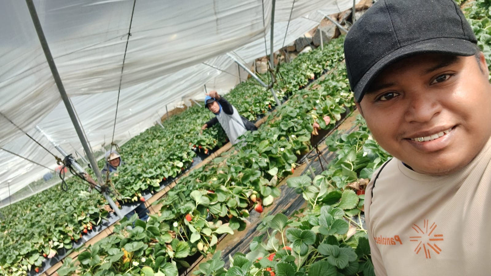 ¿Quiere trabajar en el extranjero de forma legal? Guatemala tiene convenios con siete países