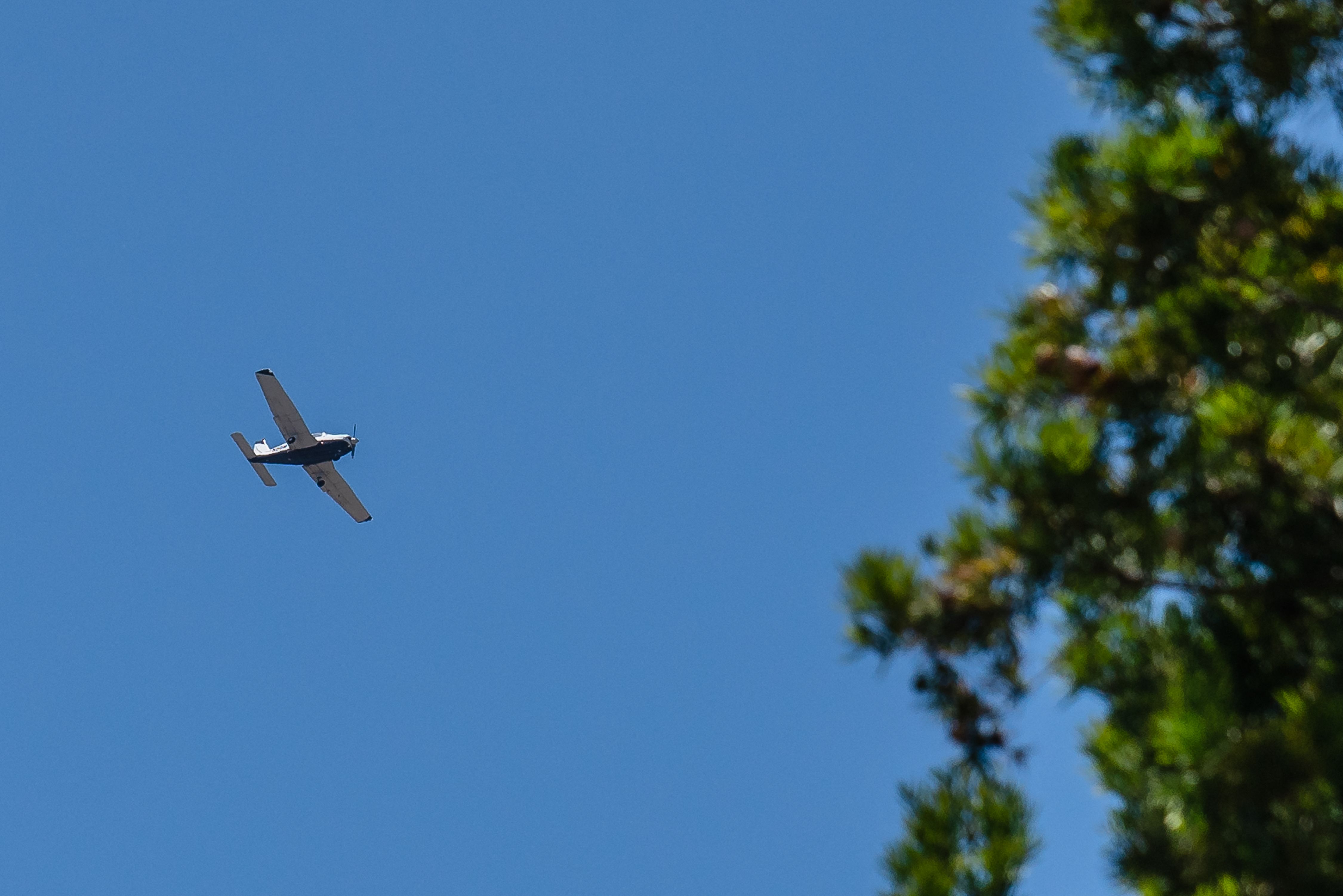 El video que muestra cómo un avión aplasta un automóvil en una autopista de Florida