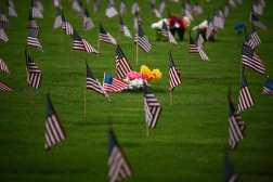 Flowers and American flags are seen at the Houston National Cemetery on Memorial day, in Houston, Texas, on May 26, 2025. (Photo by RONALDO SCHEMIDT / AFP)