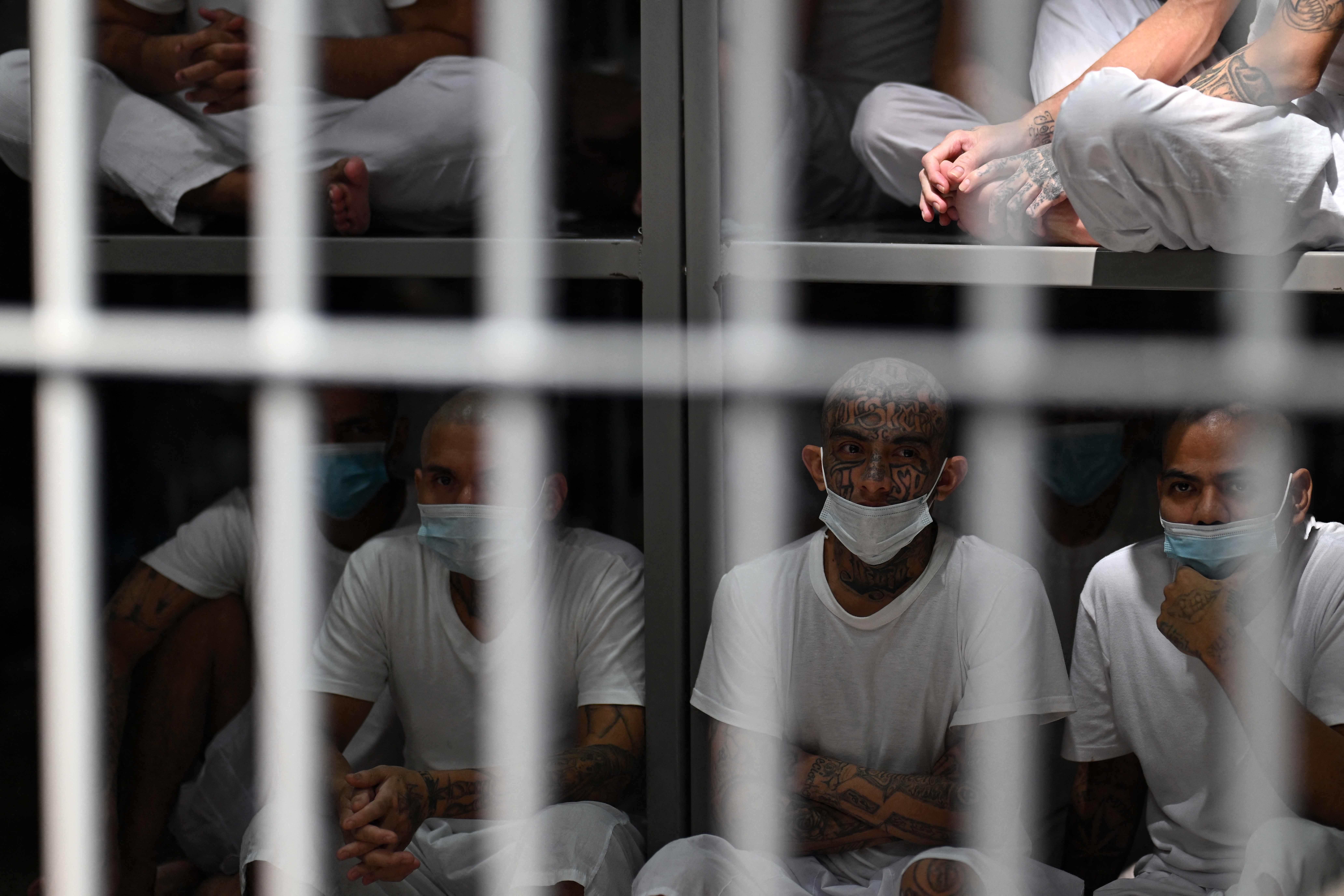 MS-13 Gang Members Stab Prison Officials in Virginia - News Directory 3