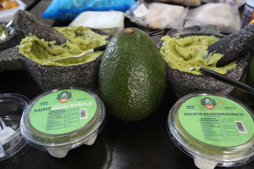 planta procesadora de pulpa de aguacate guacamol banano plátano y otros