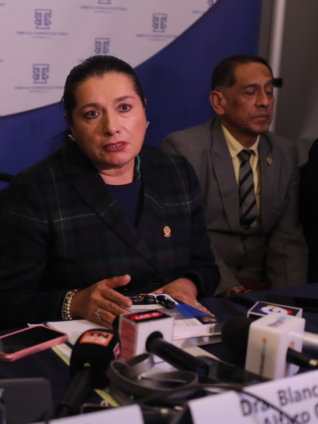 TSE REPRESENTANTES DE LOS PARTIDOS