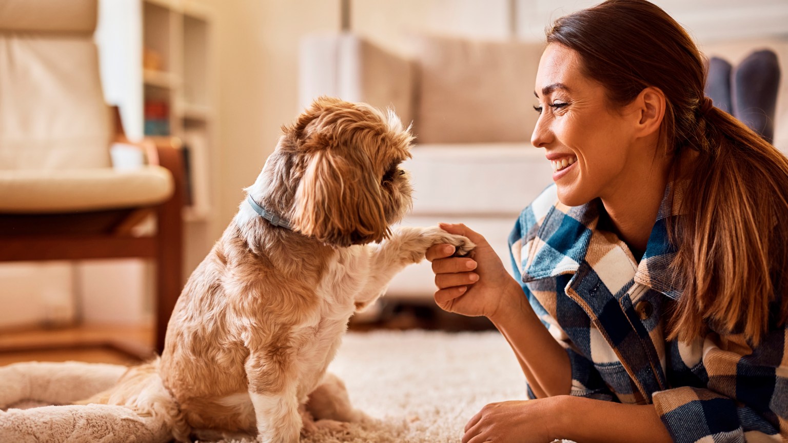 01 NOTA MI MASCOTA JULIO 08