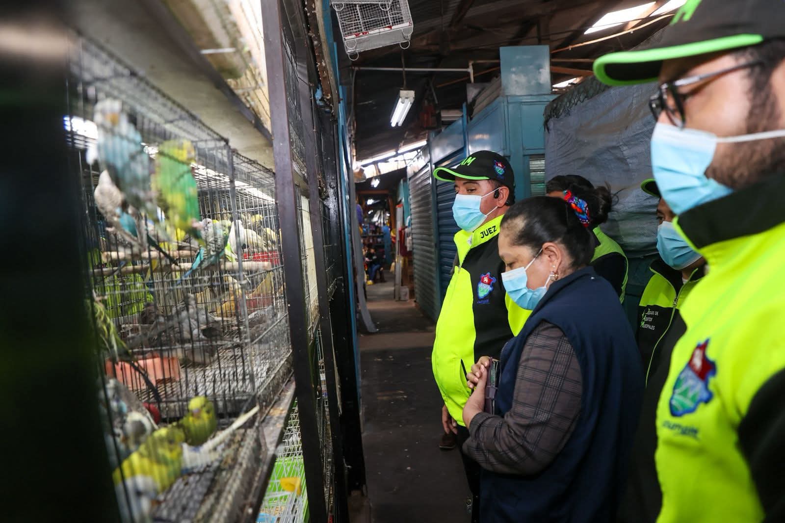 La jornada del lunes inicio con un operativo interinstitucional, en el mercado El Guarda, de la zona 11. En el lugar autoridades localizaron diferentes especies de animales exóticos. (Foto Prensa Libre: Municipalidad de Guatemala)