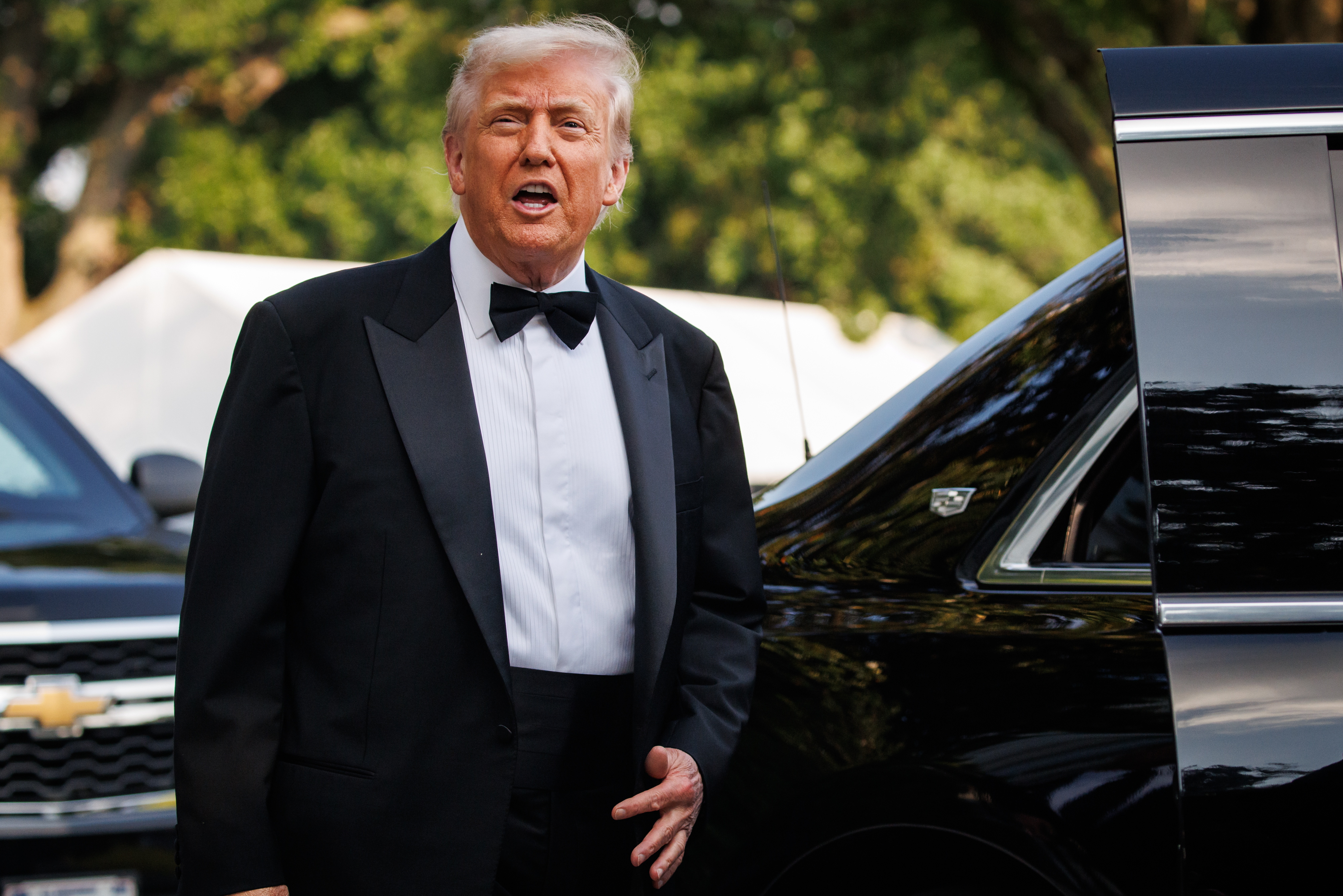 Trump Card Donald Trump Estados Unidos