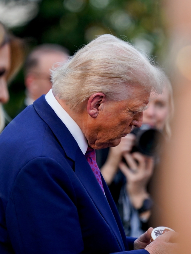 Congressional picnic