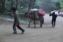 En la carretera hacia Santa Mara de Jess,en el kilmetro 46.5 se encuentra el primer derrumbe de grandes proporciones. En total,son 3.5 kilmetros desde ese punto hasta el centro de Santa Mara de Jess.

Foto Prensa Libre: Juan Diego Gonzalez 11/07/2025