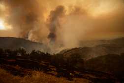 LOS PADRES NATIONAL FOREST (United States), 07/08/2025.- The Gifford Fire burns in brush-filled hillsides in Los Padres National Forest, California, 06 August 2025. The Gifford Fire is currently over 91,000 acres, threatening hundreds of structures, and is now the largest fire in the state this year, according to Cal Fire. (incendio forestal) EFE/EPA/ALLISON DINNER