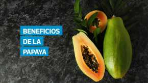 La papaya, rica en vitaminas, minerales y antioxidantes, es una fruta con propiedades digestivas, antiinflamatorias y regenerativas. Consumirla en ayunas no solo favorece la salud intestinal, sino que también fortalece el sistema inmunológico y aporta nutrientes clave para el bienestar diario.