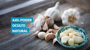 El ajo ha sido considerado un remedio natural desde la antigüedad y hoy la ciencia confirma varios de sus beneficios. Este alimento, además de aportar sabor a la cocina, mejora la digestión, favorece la circulación sanguínea y ayuda a regular la presión arterial. Gracias a compuestos como la alicina, también fortalece el sistema inmunológico y protege órganos como el hígado y el páncreas, lo que lo convierte en un aliado para la salud integral.