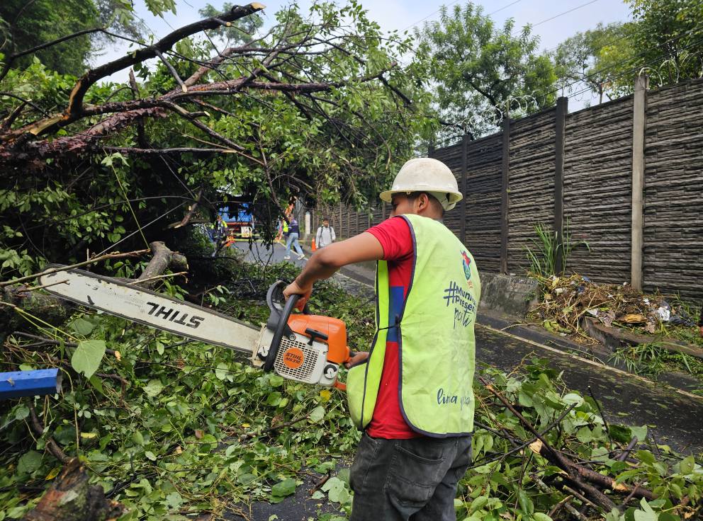 DERUMBE BOCA DEL MONTE 01'