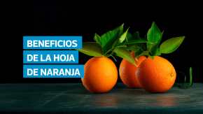 La hoja de naranja contiene compuestos naturales con propiedades antiinflamatorias, antioxidantes y sedantes. Su consumo en infusión ayuda a mejorar la digestión, aliviar el insomnio y fortalecer el sistema inmunológico, gracias a su aporte de vitamina C y K. Expertos en nutrición recomiendan preparar el té sin hervir directamente las hojas para conservar mejor sus beneficios.