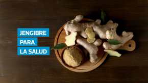 El jengibre es una raíz con múltiples propiedades que favorecen la salud. De acuerdo con la homeópata Ligia Barillas, este alimento destaca por ser antiinflamatorio, antioxidante, digestivo y antibacteriano, lo que lo convierte en un aliado para aliviar náuseas, dolores, resfriados y calambres. Además de fortalecer el sistema inmunológico, puede ayudar a mejorar la digestión, prevenir infecciones y controlar los niveles de glucosa en la sangre, lo que lo hace útil para personas con problemas metabólicos.