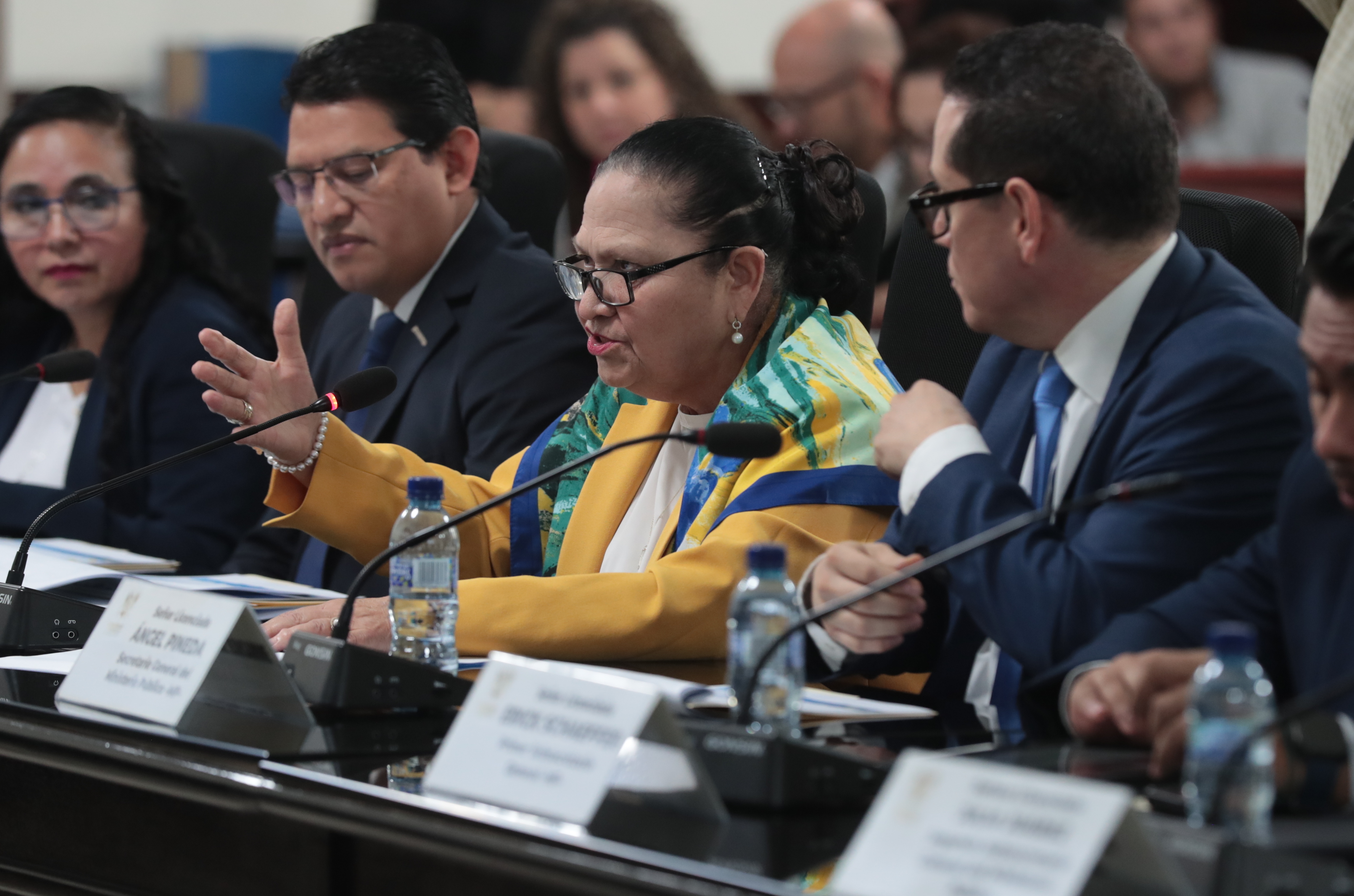 PRESUPUESTO MP Y SESION PLENARIA'