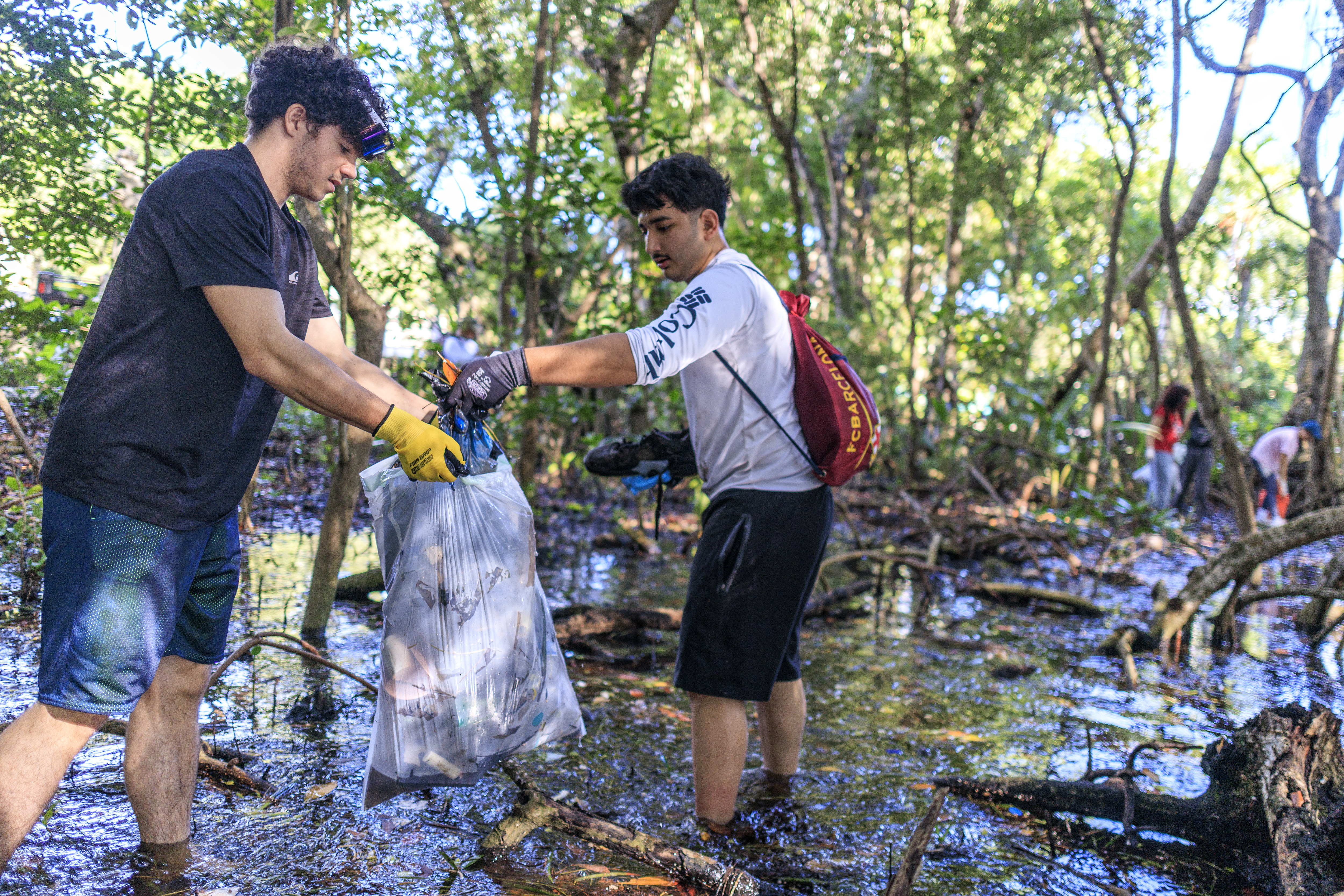 World Clenup Day 202506'