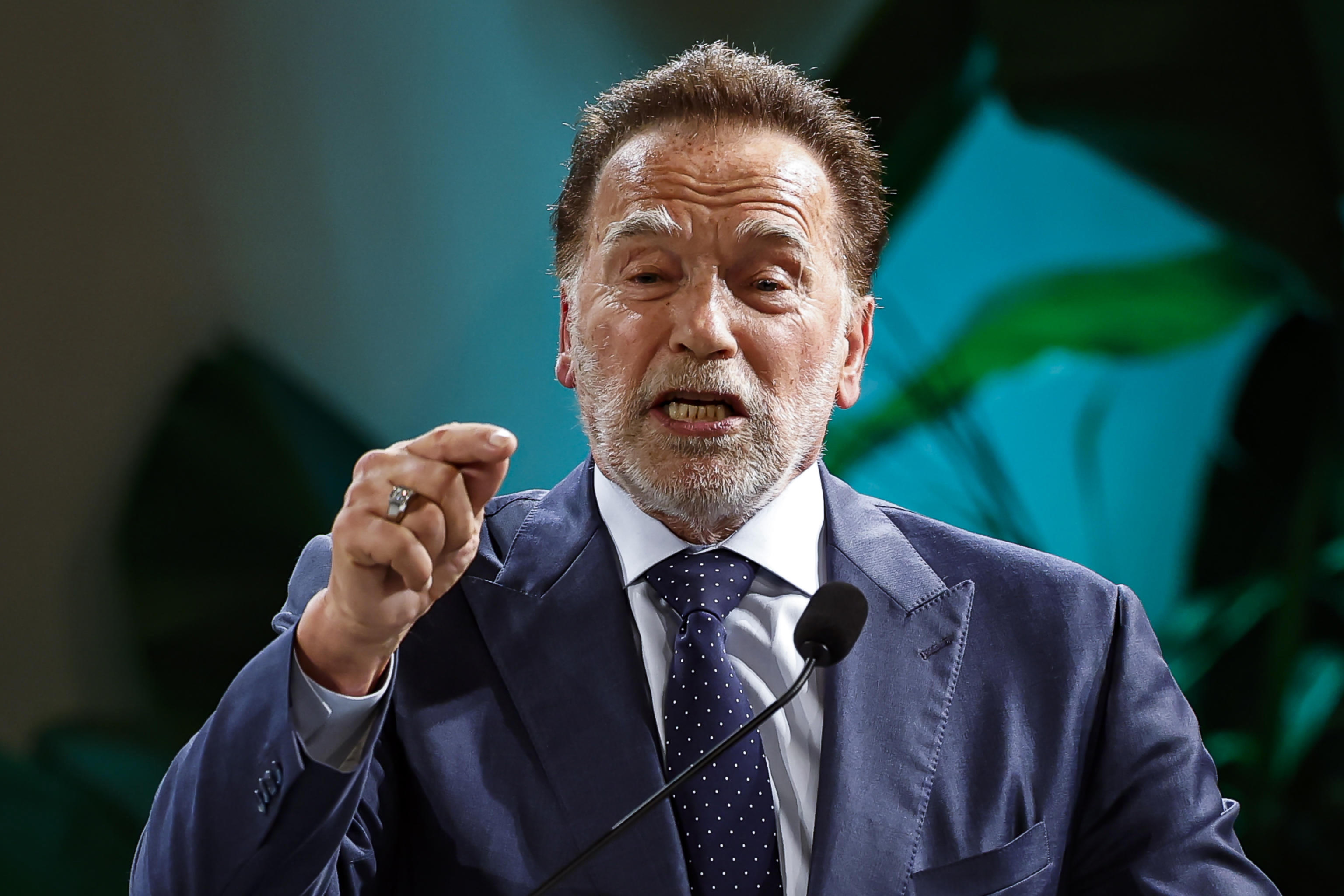 Por qué Arnold Schwarzenegger acusa al gobernador de California de “manipular” distritos con la “Propuesta 50”