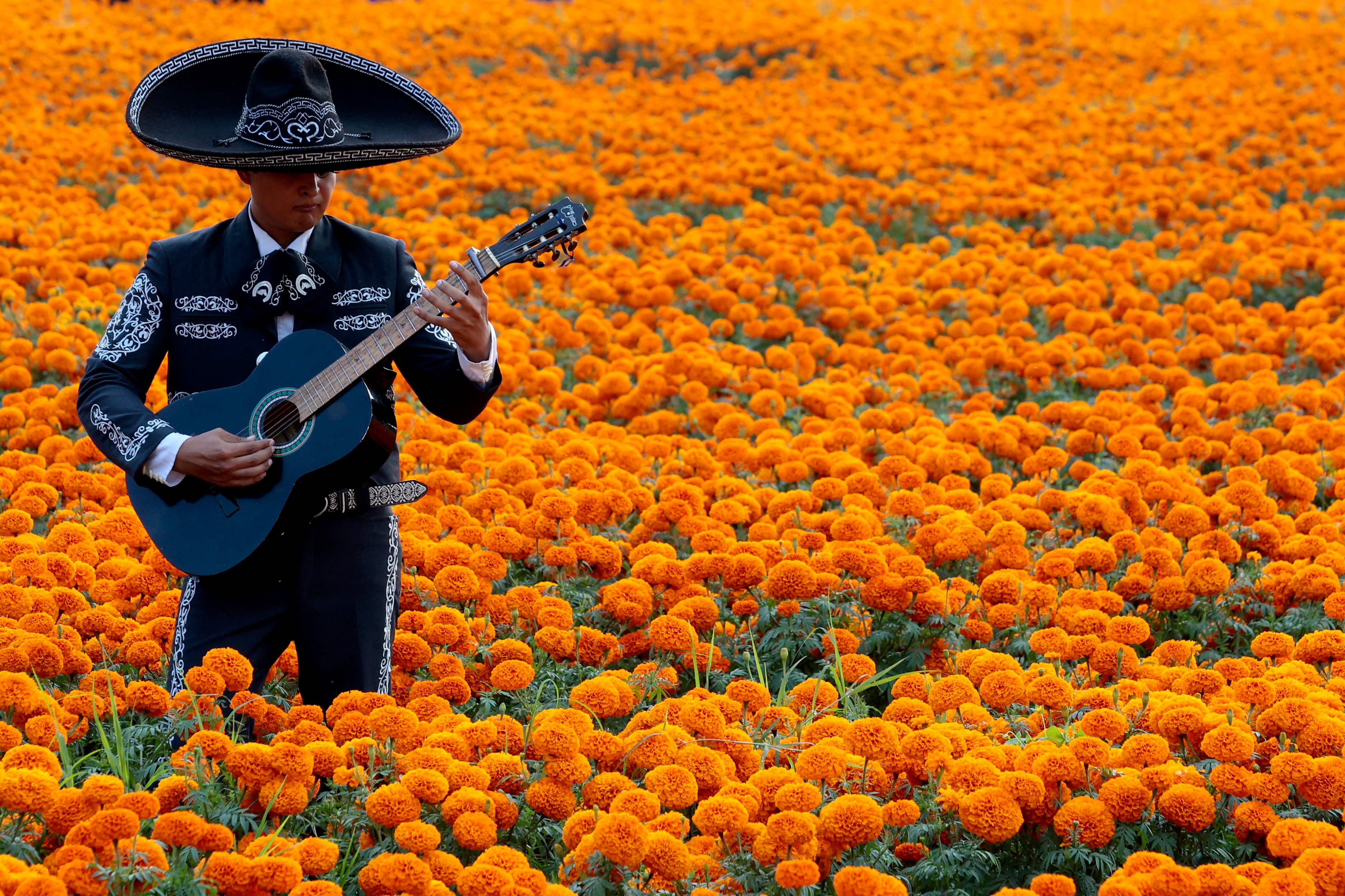 DIA DE MUERTOS EN MEXICO 08'
