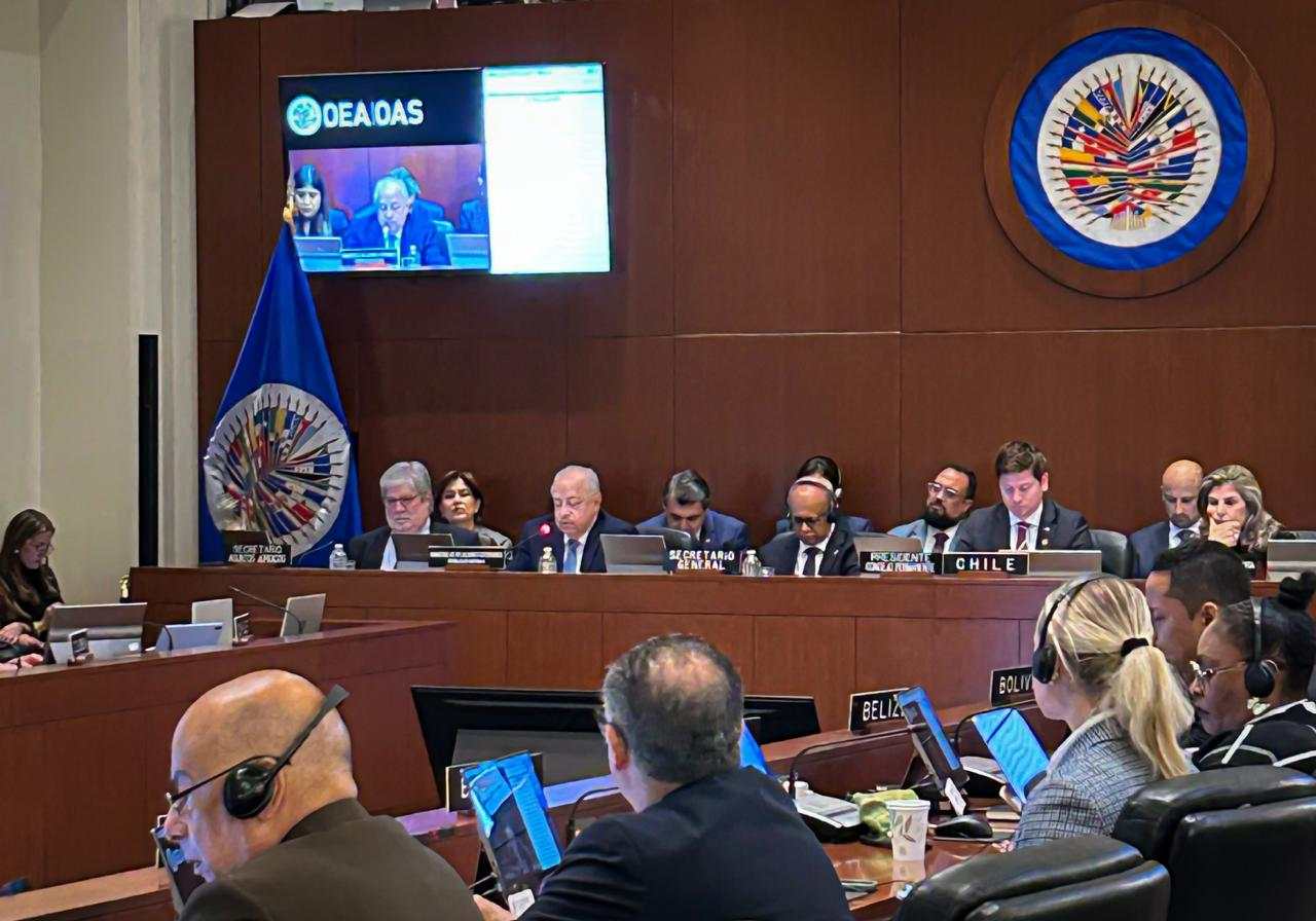 OEA analizará proyecto de declaración de “Apoyo a la Democracia y Orden ...