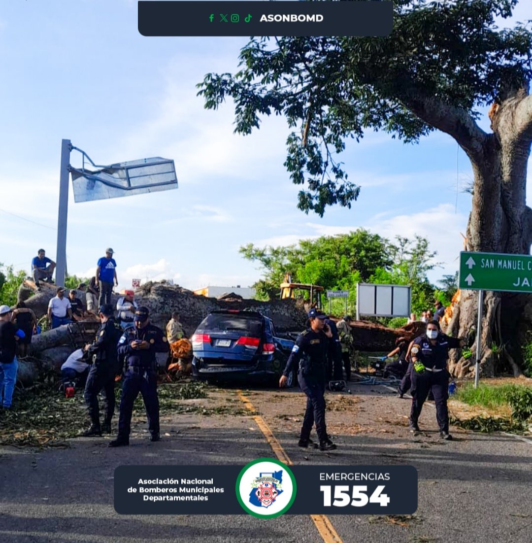 Tragedia en Jutiapa: árbol de gran tamaño cae sobre un vehículo y mata a cuatro personas