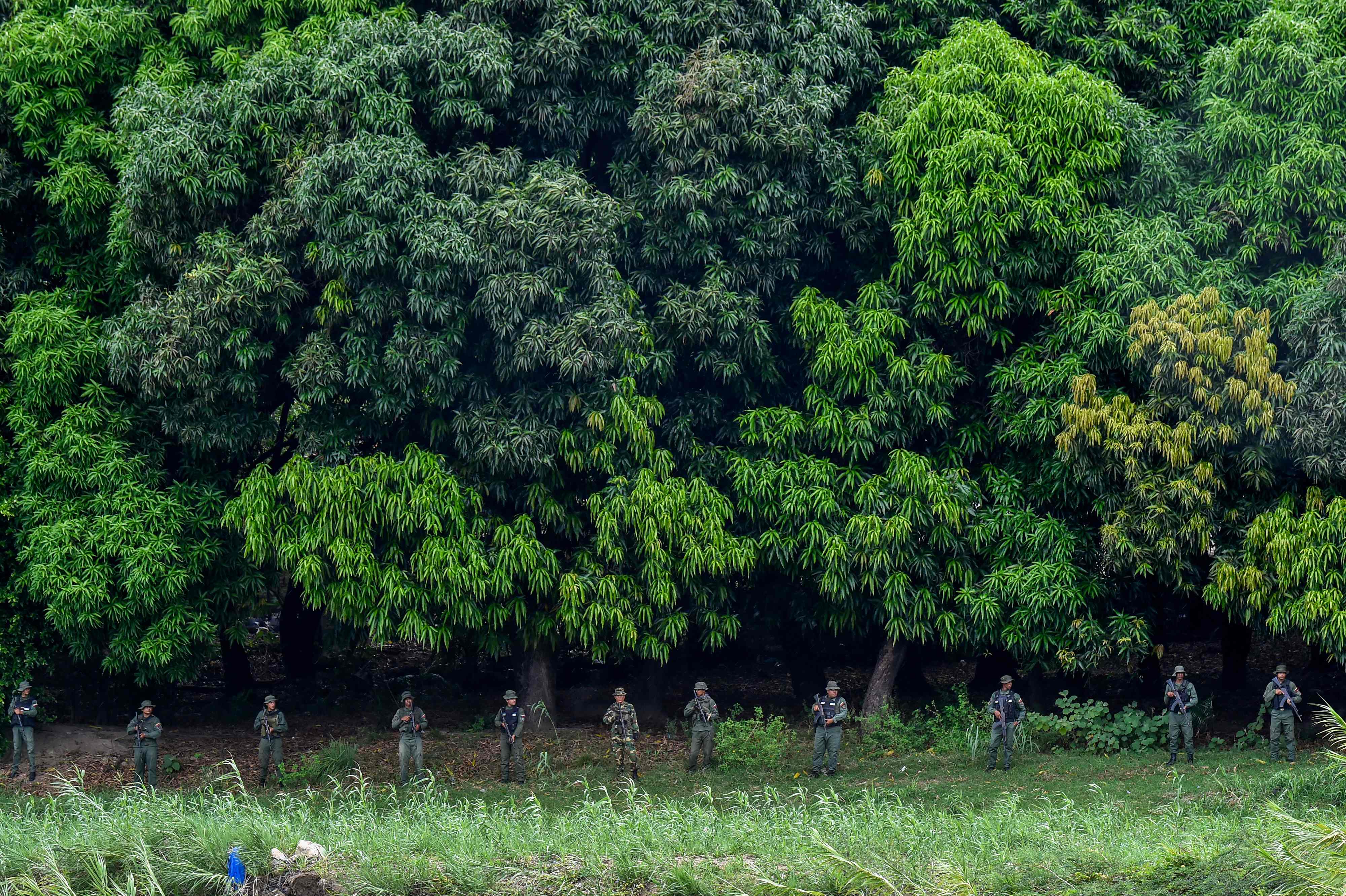 MILICIA CAMPESINA VENEZUELA ESTADOS UNIDOS'