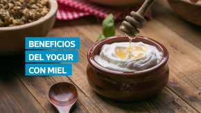 El consumo de yogur con miel no solo favorece la salud intestinal, sino que también fortalece el sistema inmunológico. Estudios recientes destacan que esta mezcla mejora la supervivencia de los probióticos, esenciales para el equilibrio del microbioma y la absorción de nutrientes.