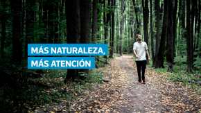 Caminar entre árboles o pasar tiempo en espacios verdes puede aumentar hasta en un 20% la capacidad de atención, según un estudio de la Universidad de Míchigan. Los expertos explican que el entorno natural actúa como un “restaurador mental” que reduce el agotamiento cognitivo y mejora la creatividad.