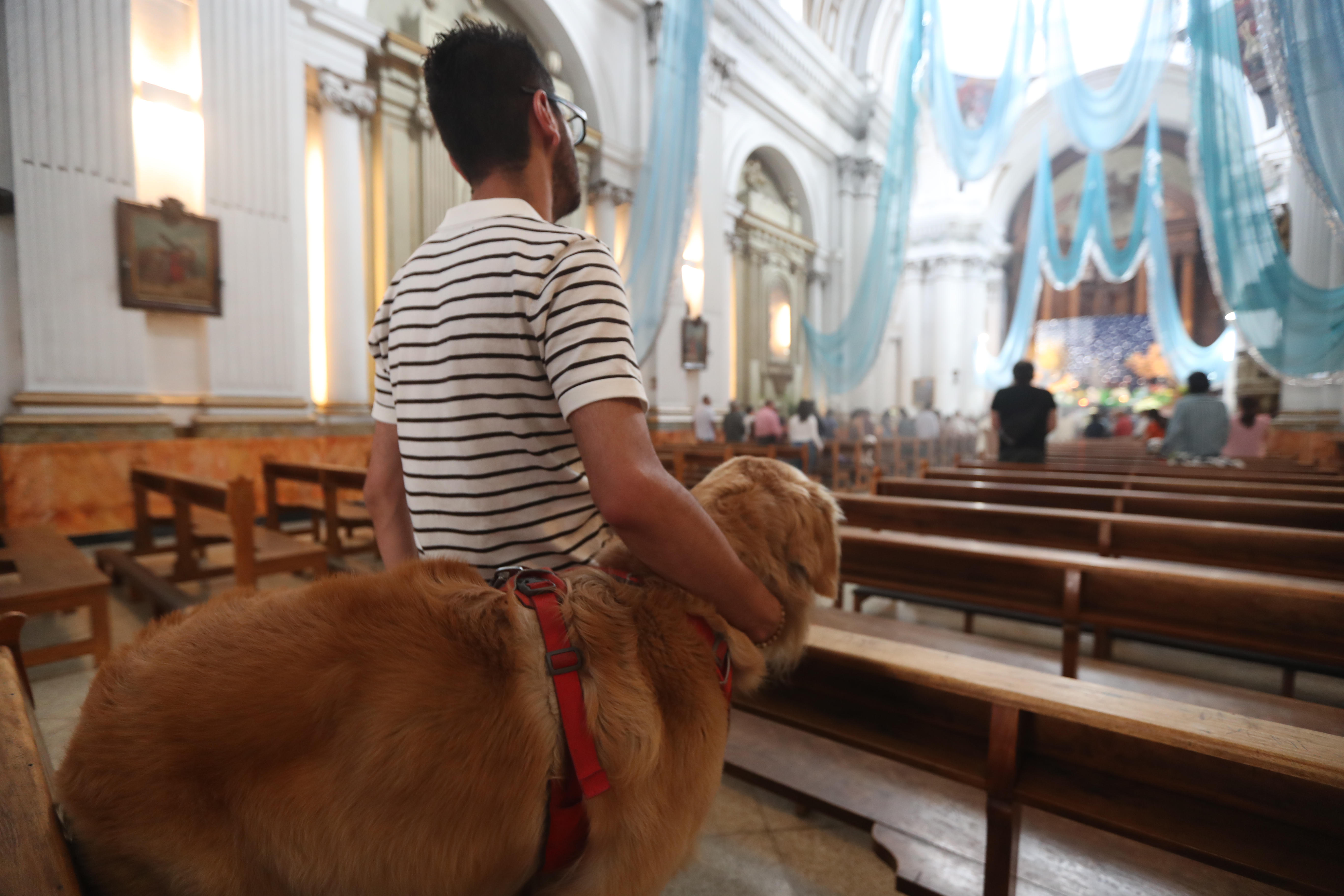BENDICION DE MASCOTAS