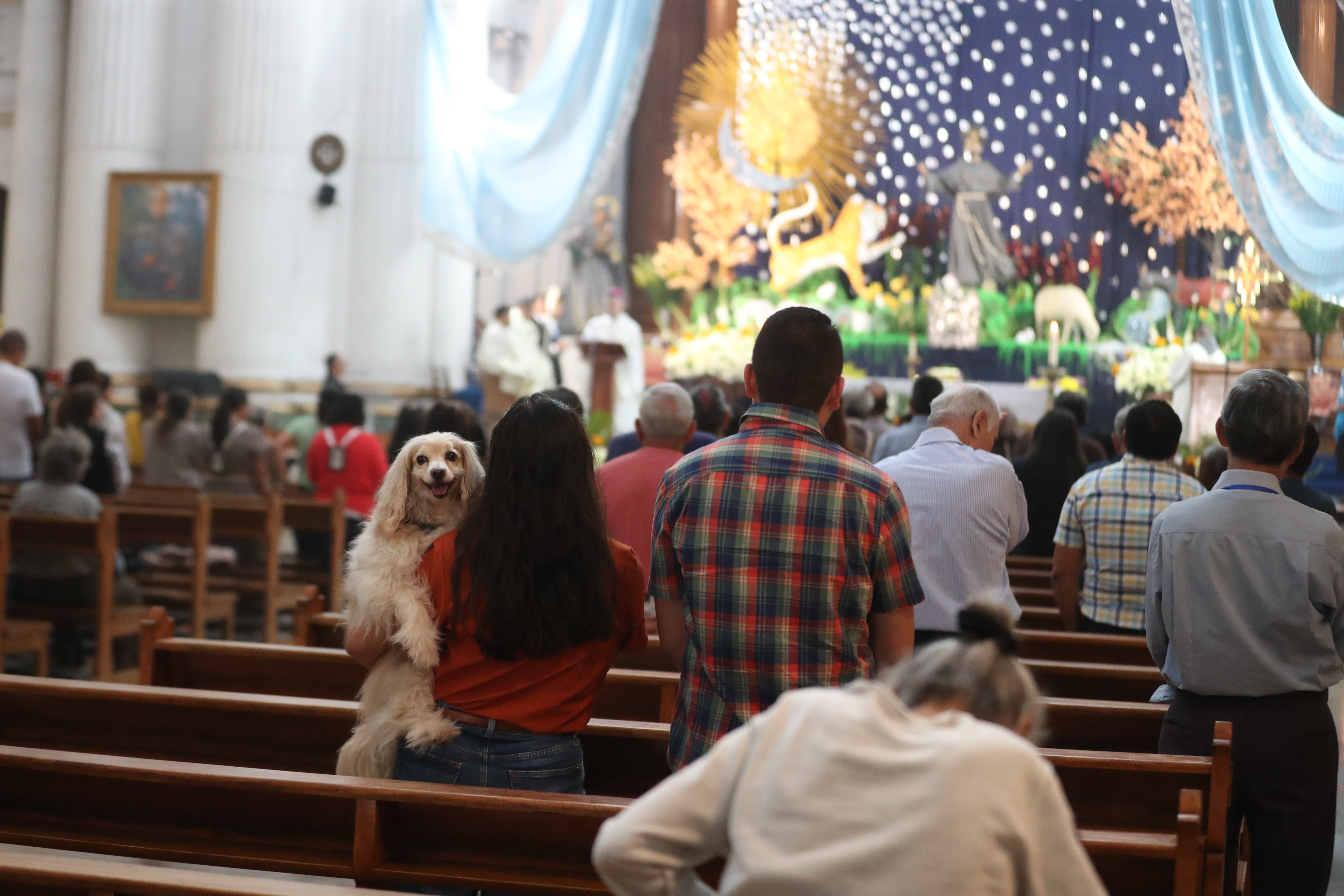 Bendición de Mascotas San Francisco de Asis