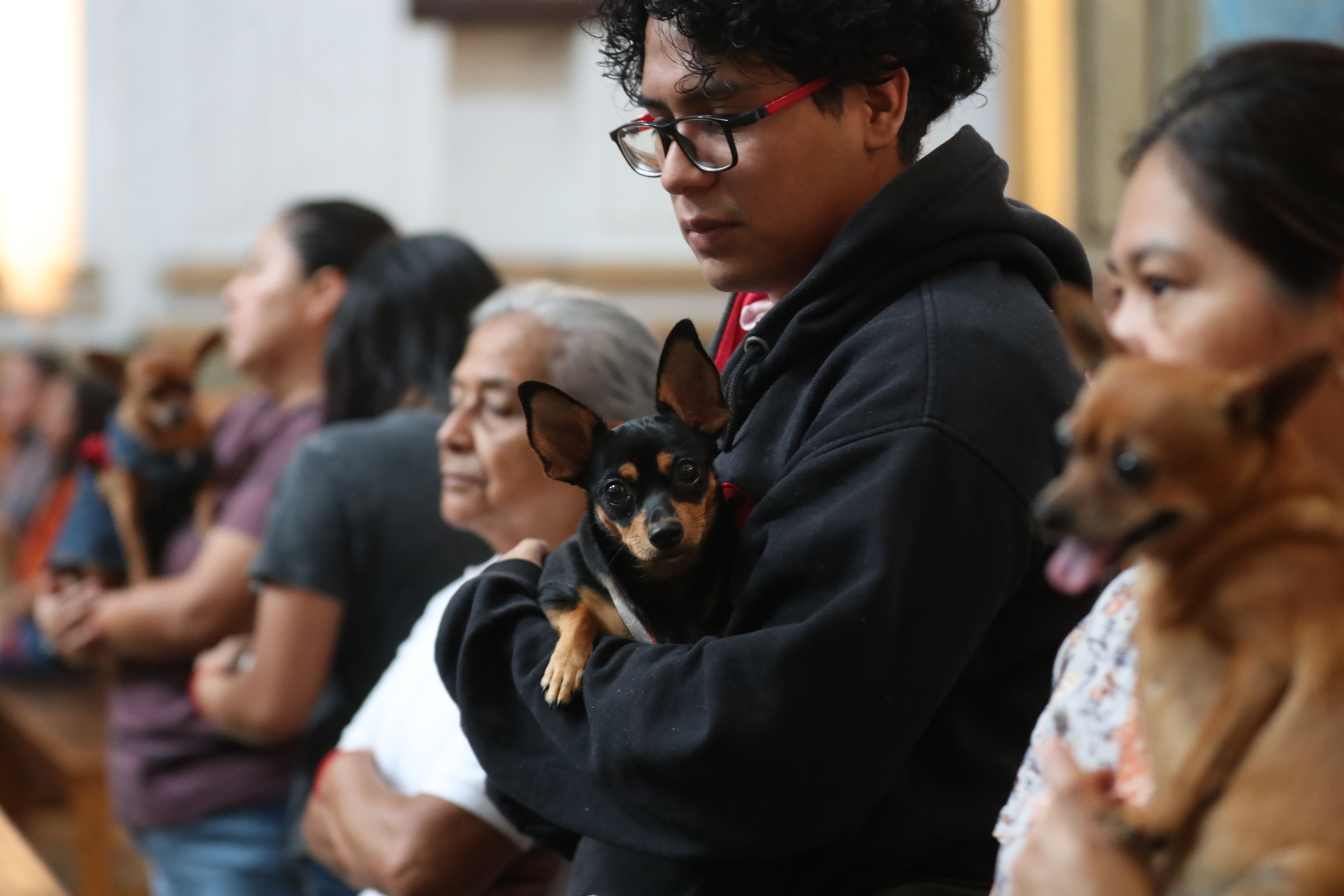 Cada 4 de octubre, los fieles católicos en Guatemala celebran el Día de San Francisco de Asís, patrono de los animales y del medio ambiente. (Foto Prensa Libre: Daniel Samayoa)