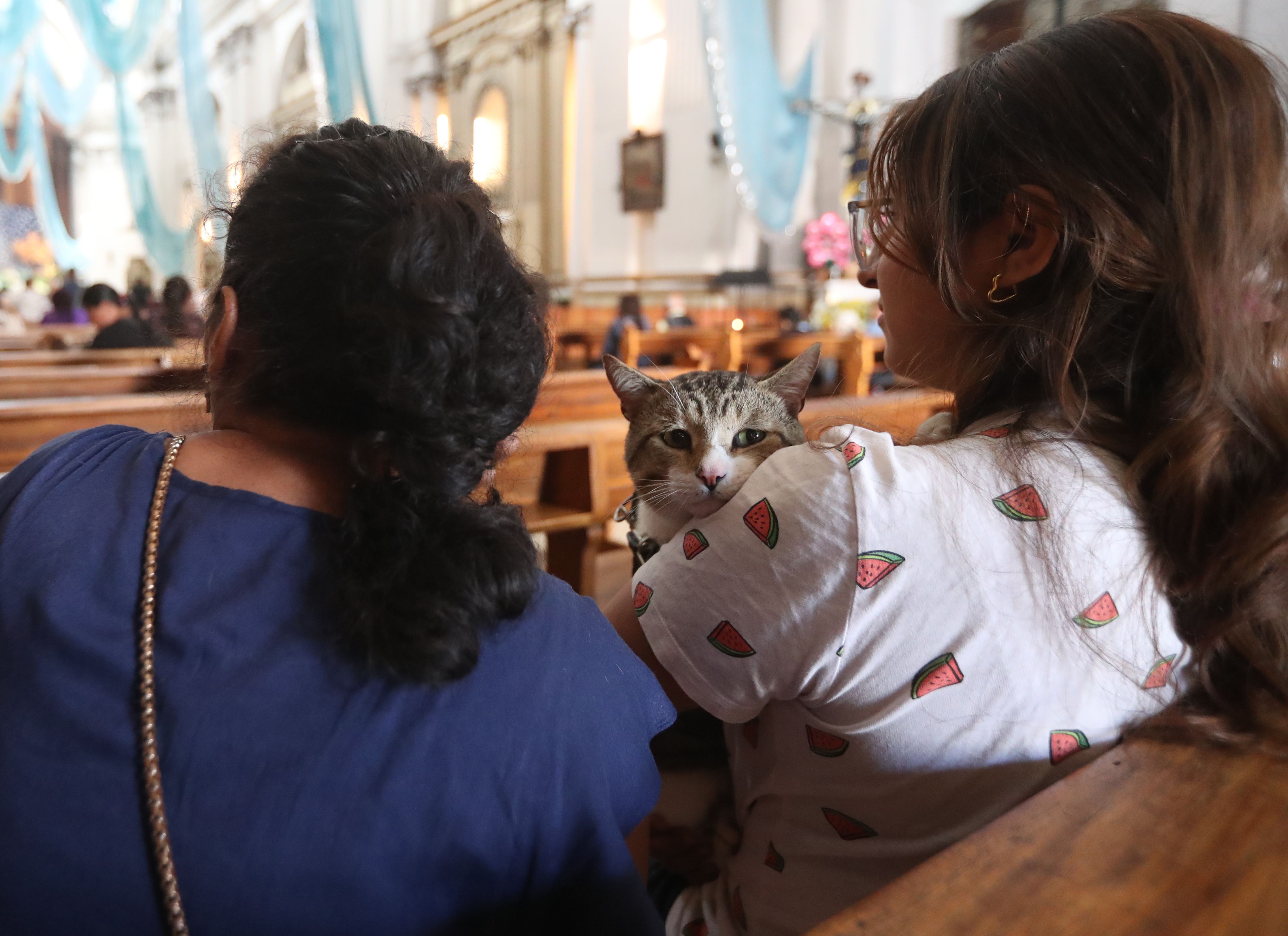 BENDICION DE MASCOTAS