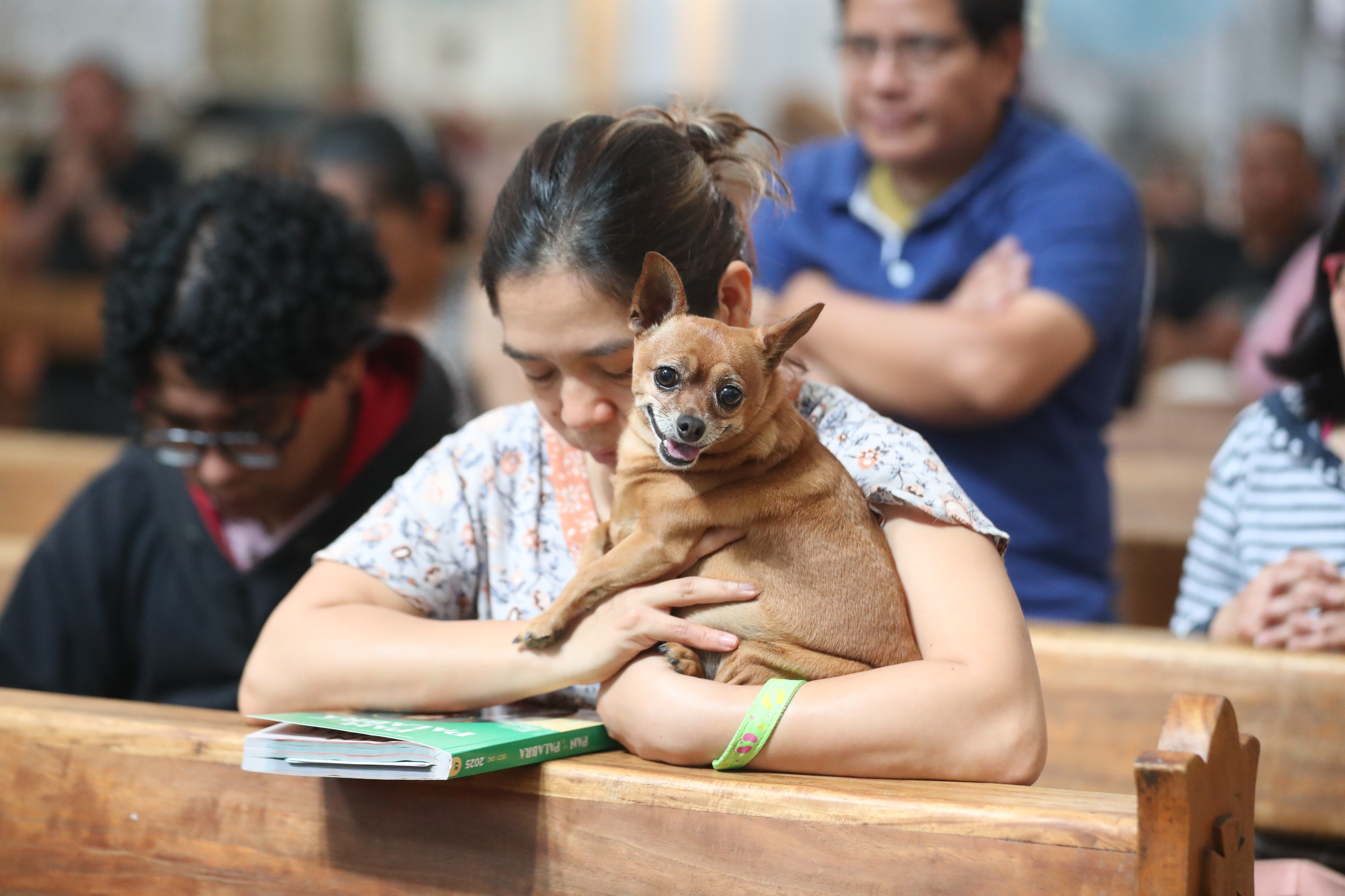 Bendición de Mascotas San Francisco de Asis