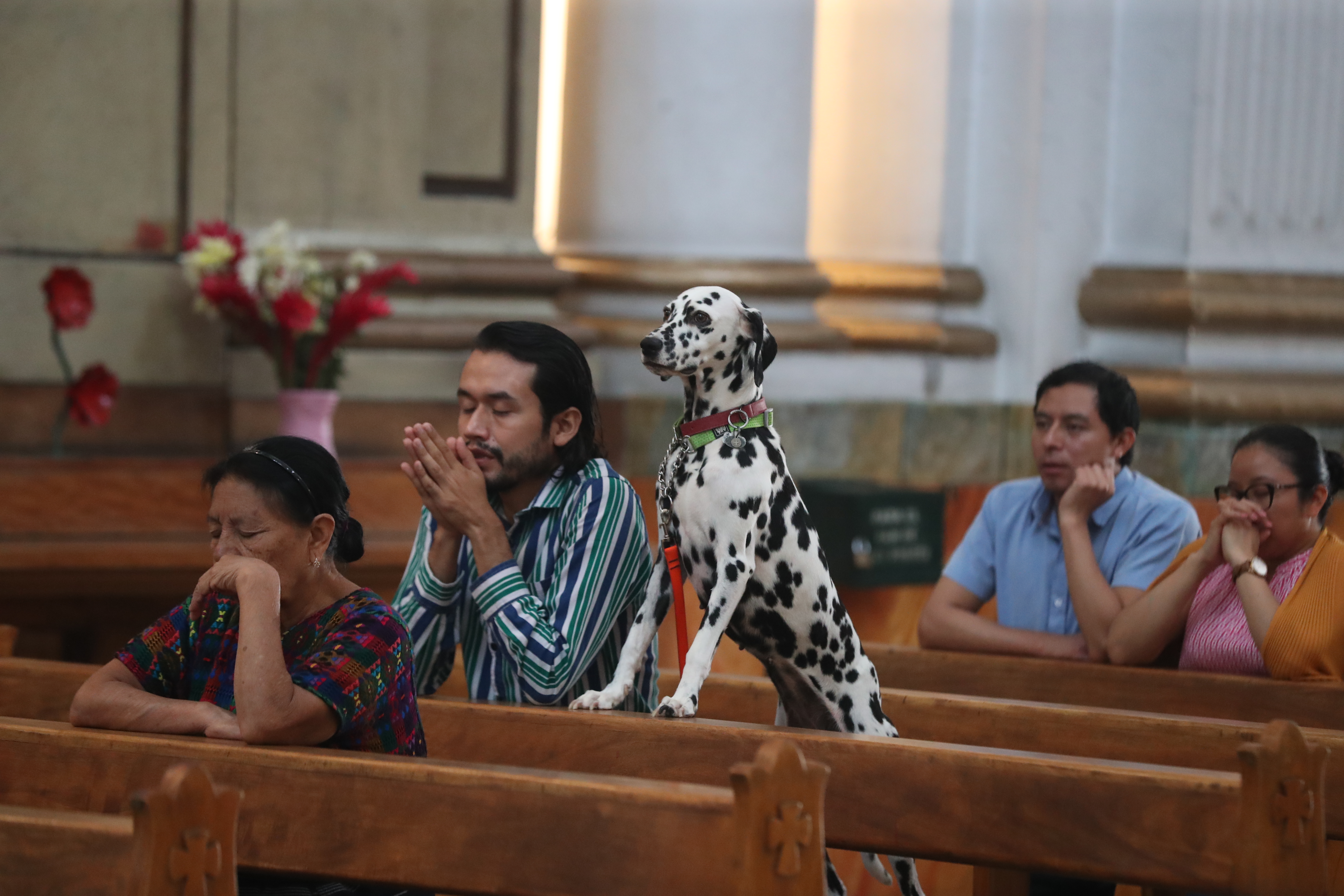 Bendición de Mascotas San Francisco de Asis'