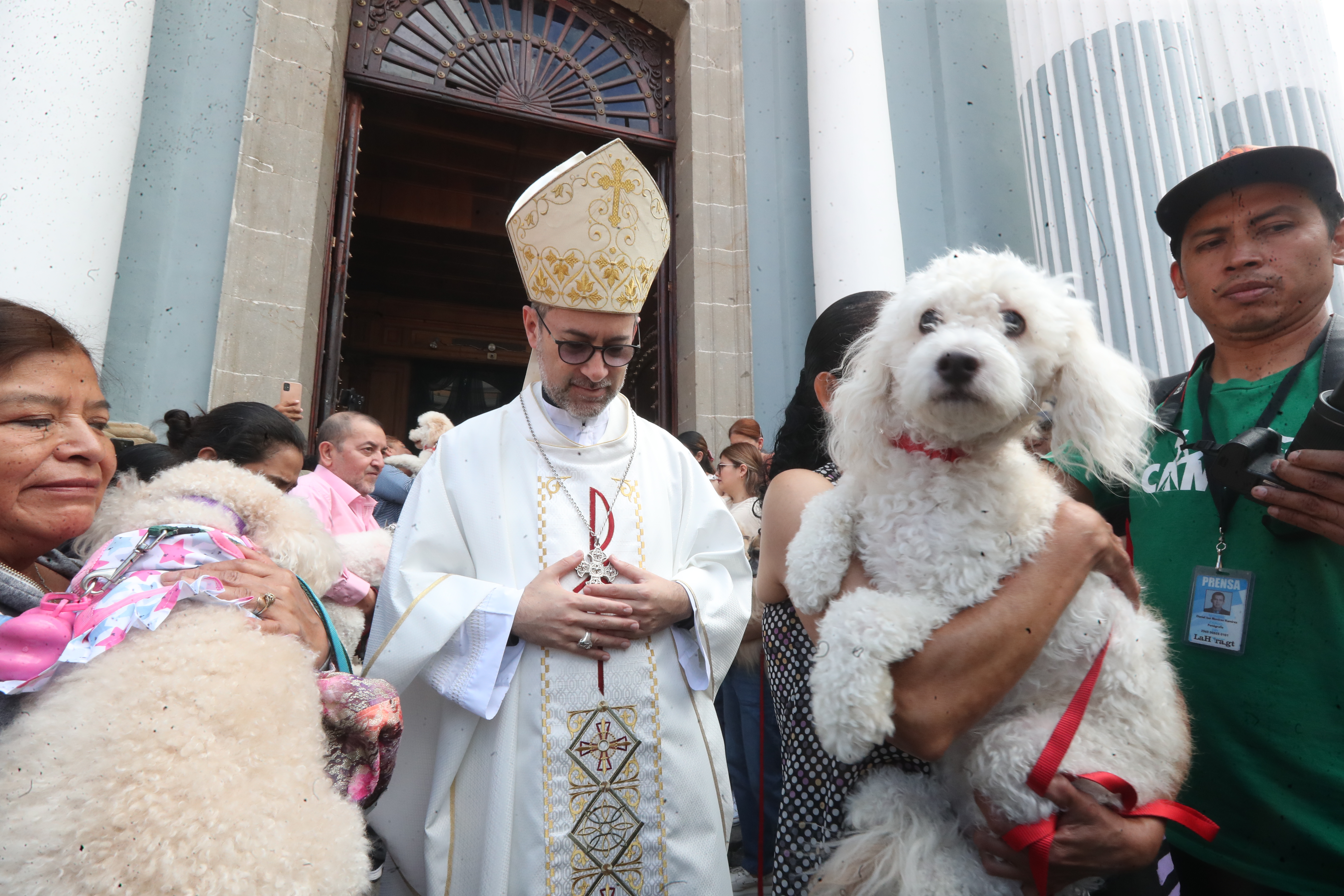 Bendición de Mascotas San Francisco de Asis