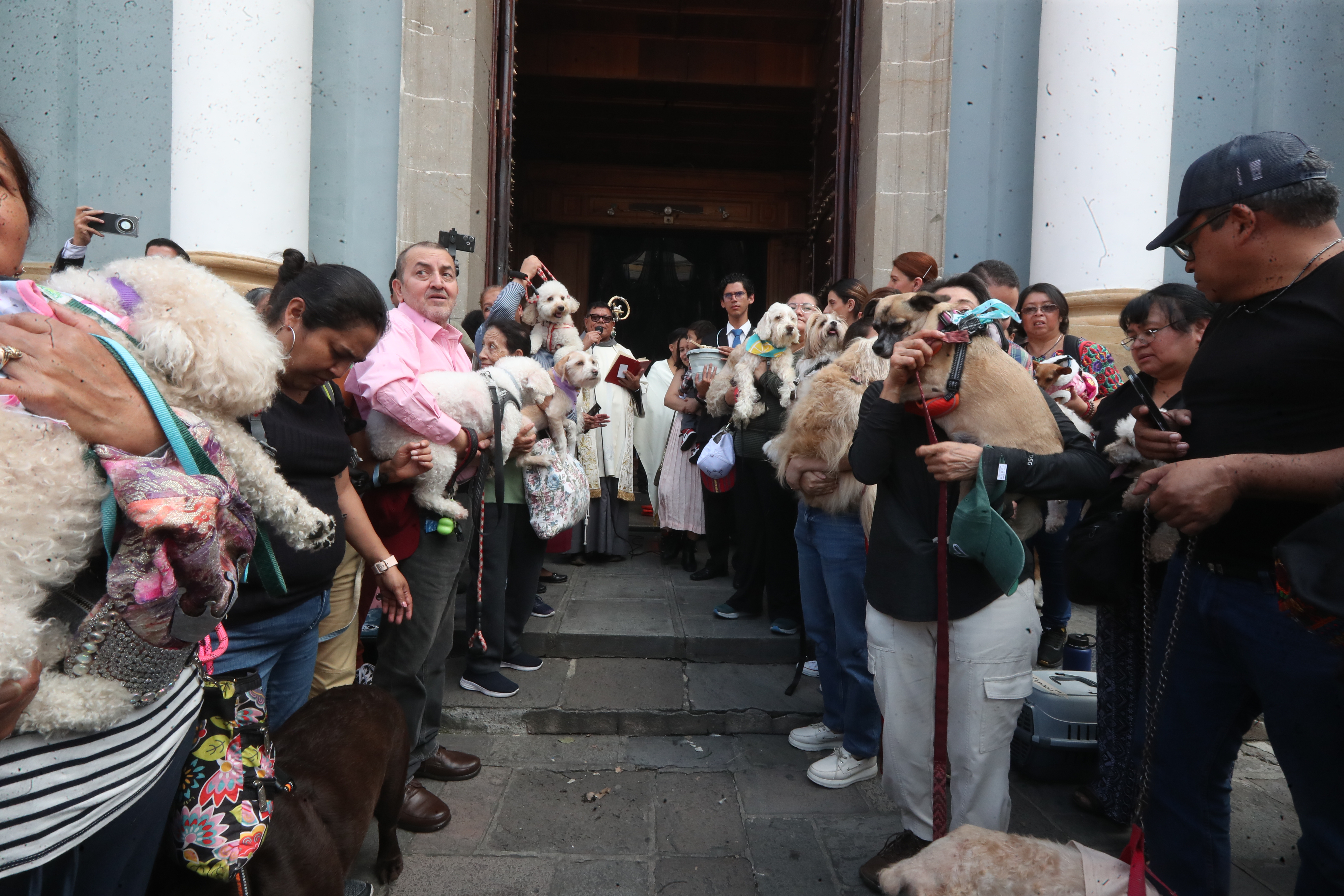 Bendición de Mascotas San Francisco de Asis