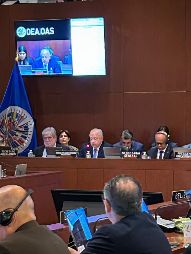 cropped-El-canciller-Carlos-Ramiro-Martinez-expone-ante-los-miembros-del-Consejo-Permanente-de-la-OEA.jpeg
