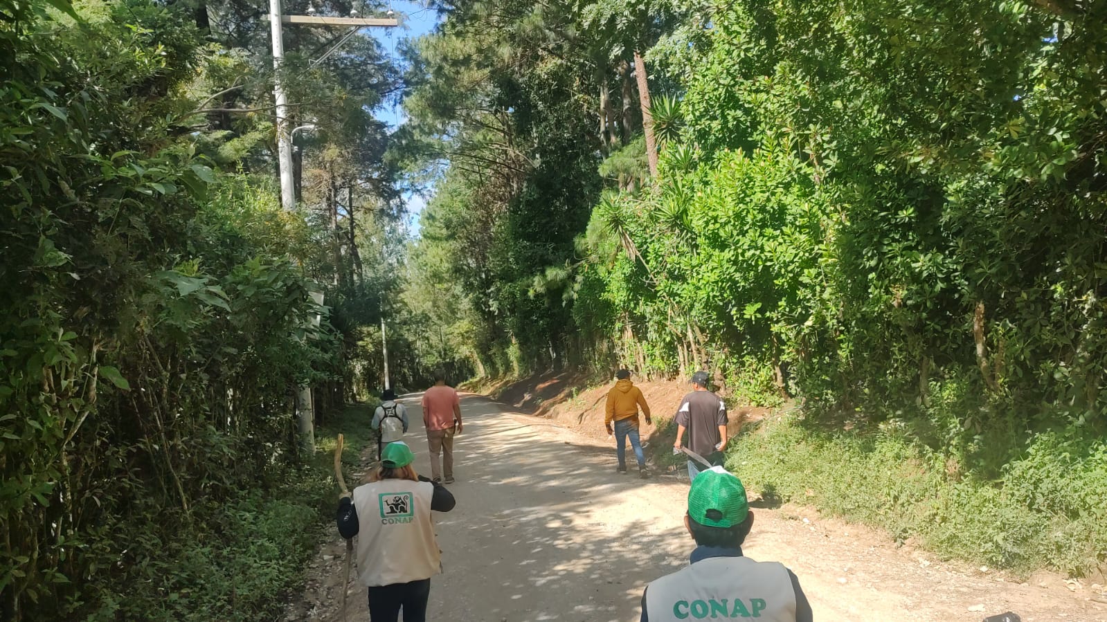 Equipos de búsqueda de diversas instituciones han rastreado la posible ubicación del jaguar melánico en la ruta RD-GUA-04, que conduce a San Raymundo, y en la RN-5 de San Juan Sacatepéquez.