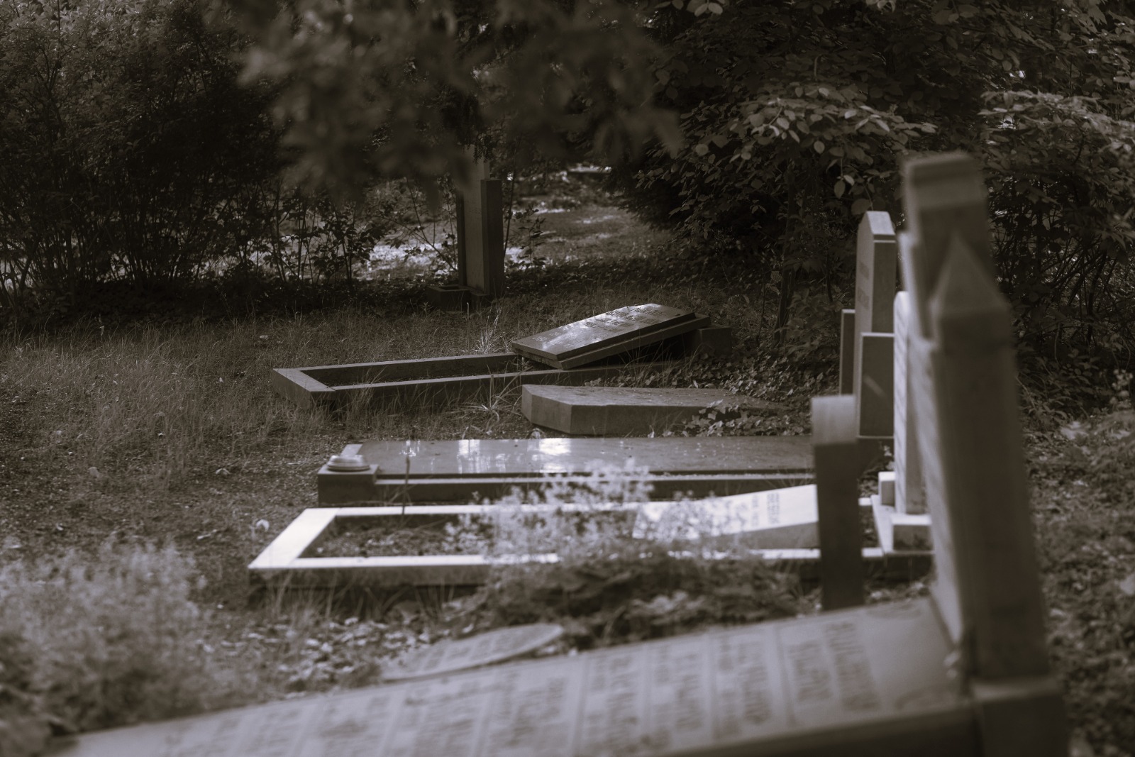 El sepulturero: el hombre que persigue a los muertos inconformes entre tumbas y silencio