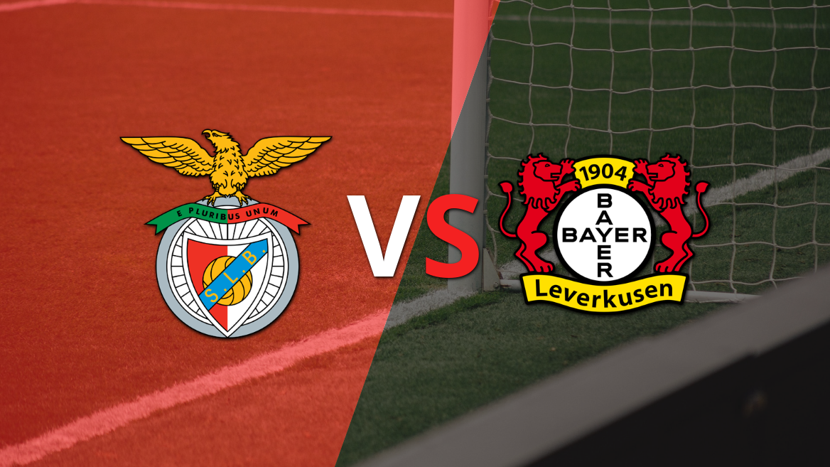 Benfica vs Bayer Leverkusen: previa, horario y cómo llegan para la fecha 4 de la Champions