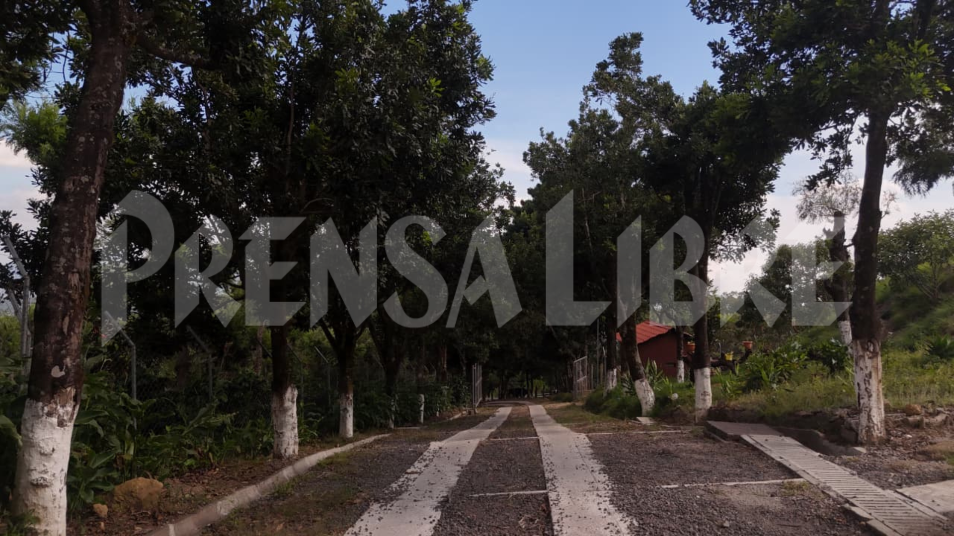 ALLANAN FINCA ALEJANDRO GIAMMATTEI SACATEPEQUEZ