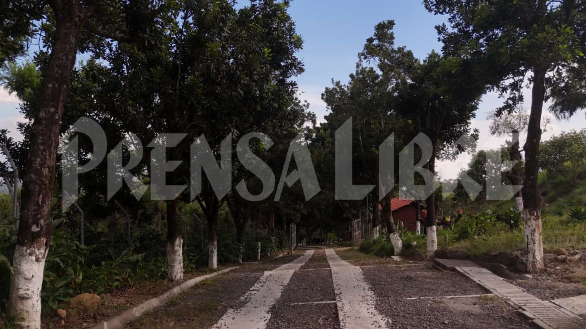 ALLANAN FINCA ALEJANDRO GIAMMATTEI SACATEPEQUEZ'