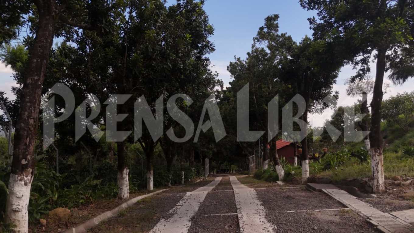 ALLANAN FINCA ALEJANDRO GIAMMATTEI SACATEPEQUEZ