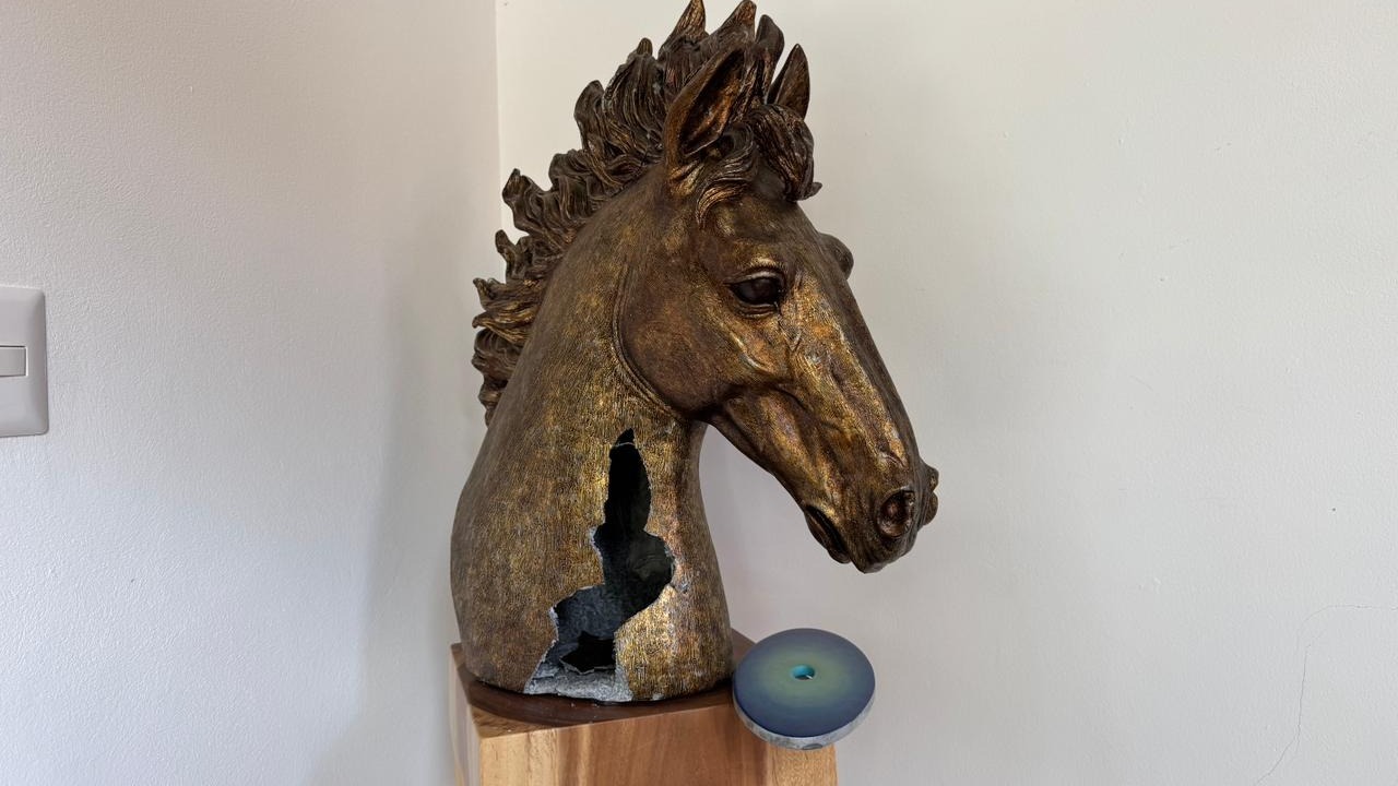 ALLANAN FINCA ALEJANDRO GIAMMATTEI SACATEPEQUEZ'