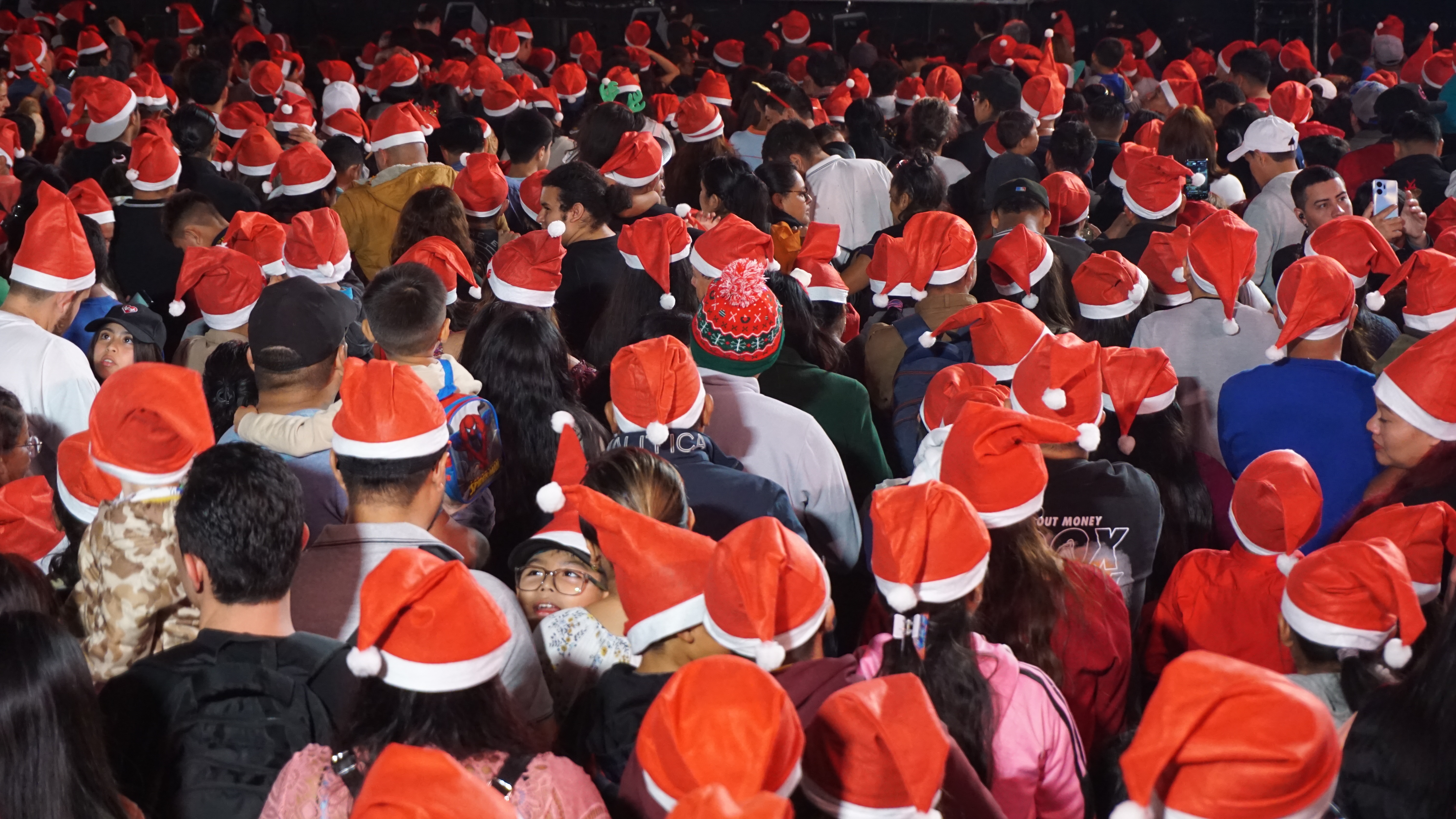 Árbol Gallo 2025 04'